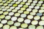 Nephrite Therapy